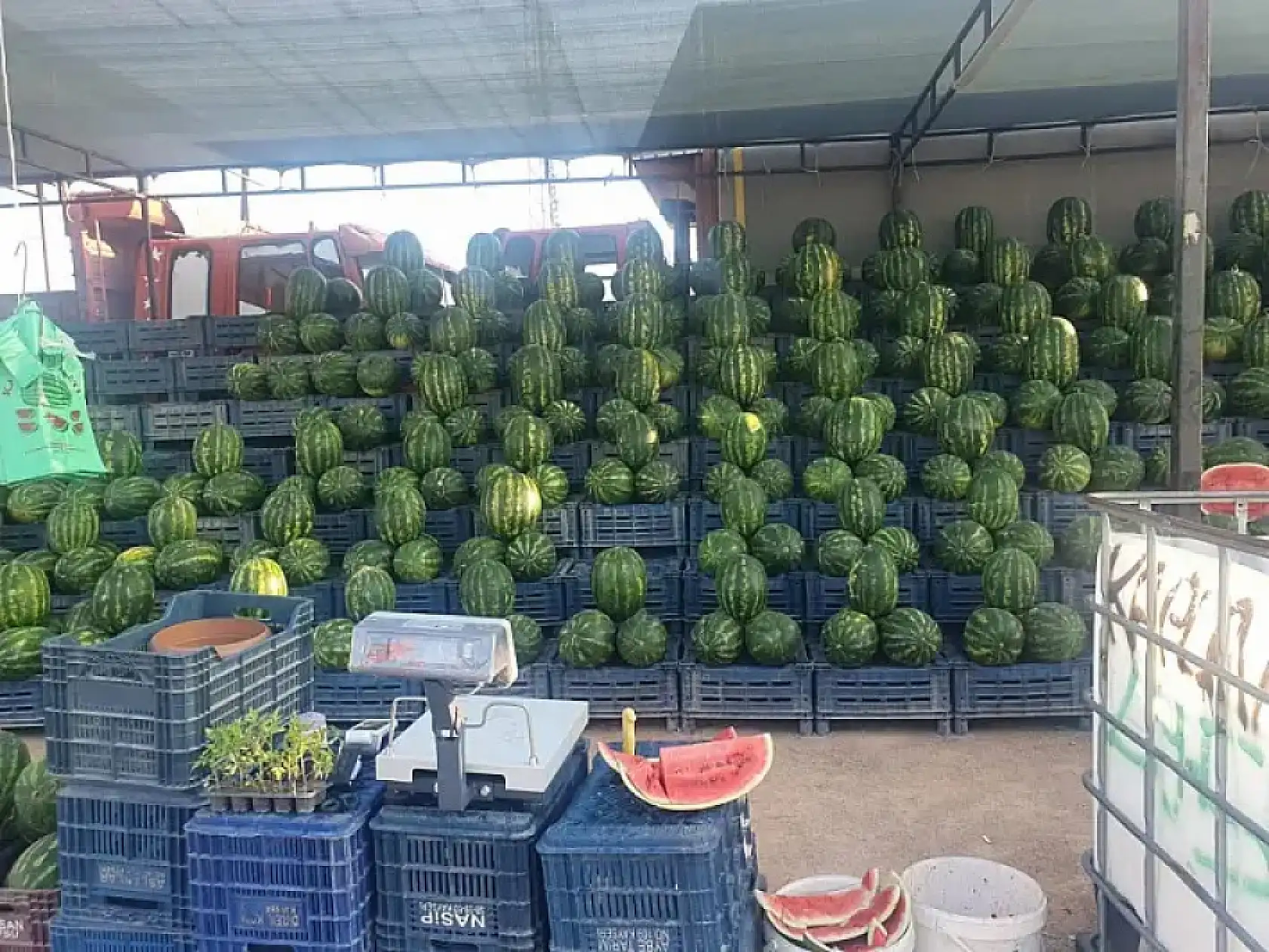 Kayseri kısa kısa: Yasa dışı bahis, deprem, Sivas, Zam, Karpuz, Kayserispor...