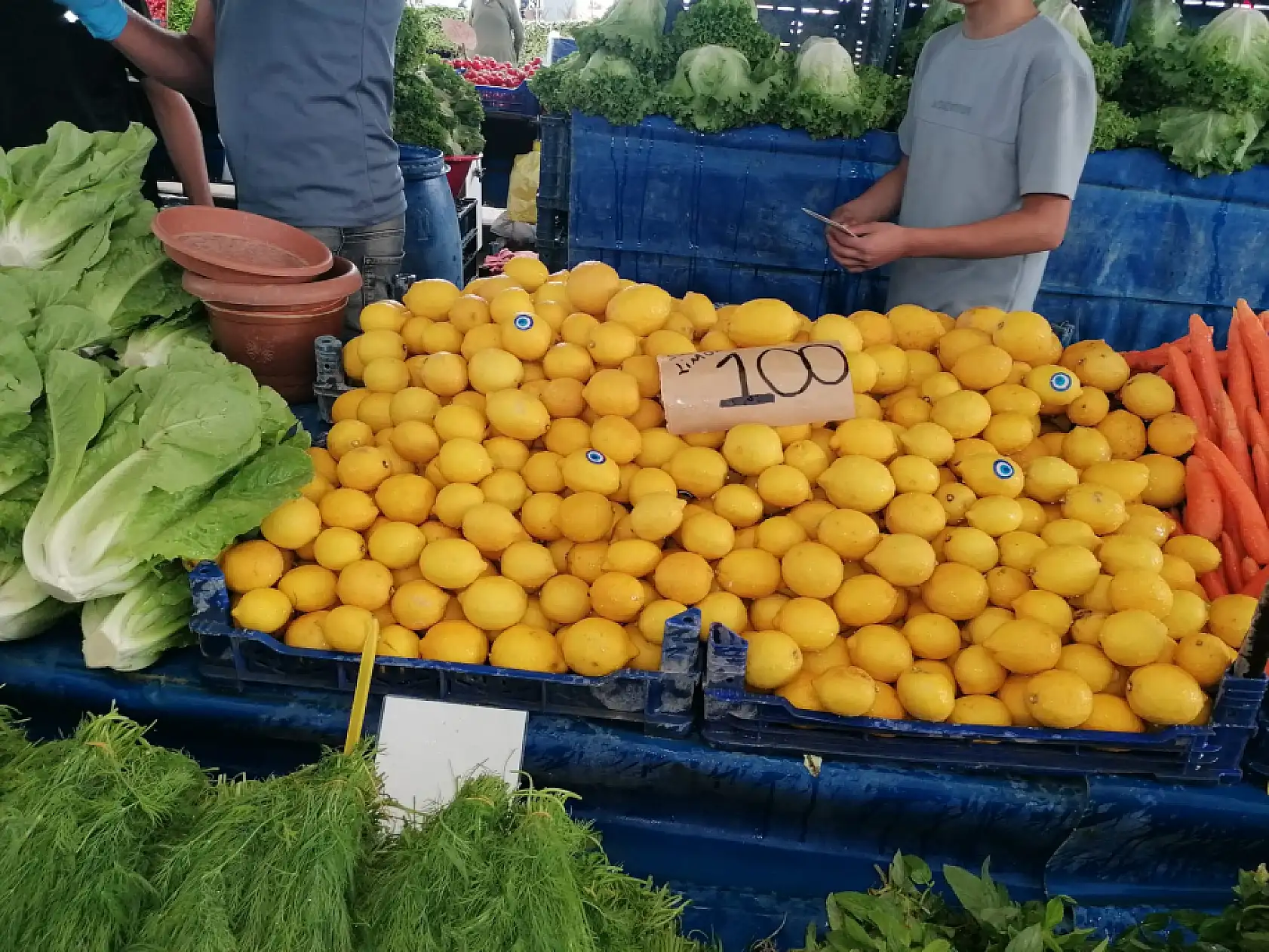 Hal'de fiyatlar uçtu: Hangi meyve 450 TL'ye dayandı, hangisi 6 TL'ye düştü?