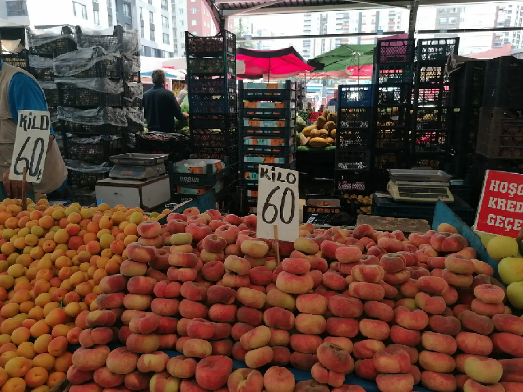 Hal'de fiyatlar uçtu: Hangi meyve 450 TL'ye dayandı, hangisi 6 TL'ye düştü?