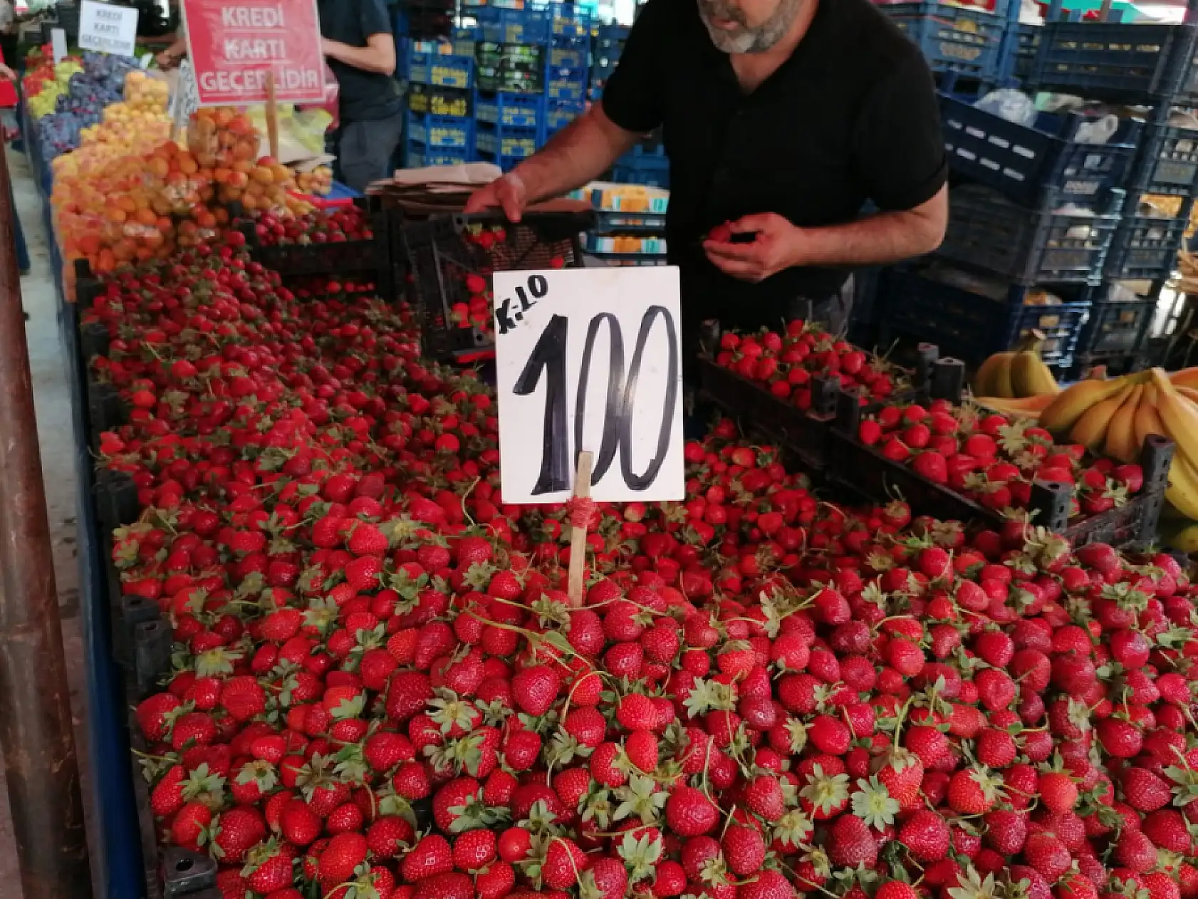 Hal'de fiyatlar uçtu: Hangi meyve 450 TL'ye dayandı, hangisi 6 TL'ye düştü?