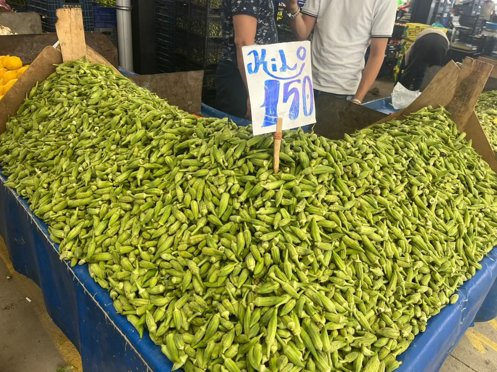 Kayseri'de kışlık telaşı fiyat duvarına çarptı: Semt pazarı el yakıyor!