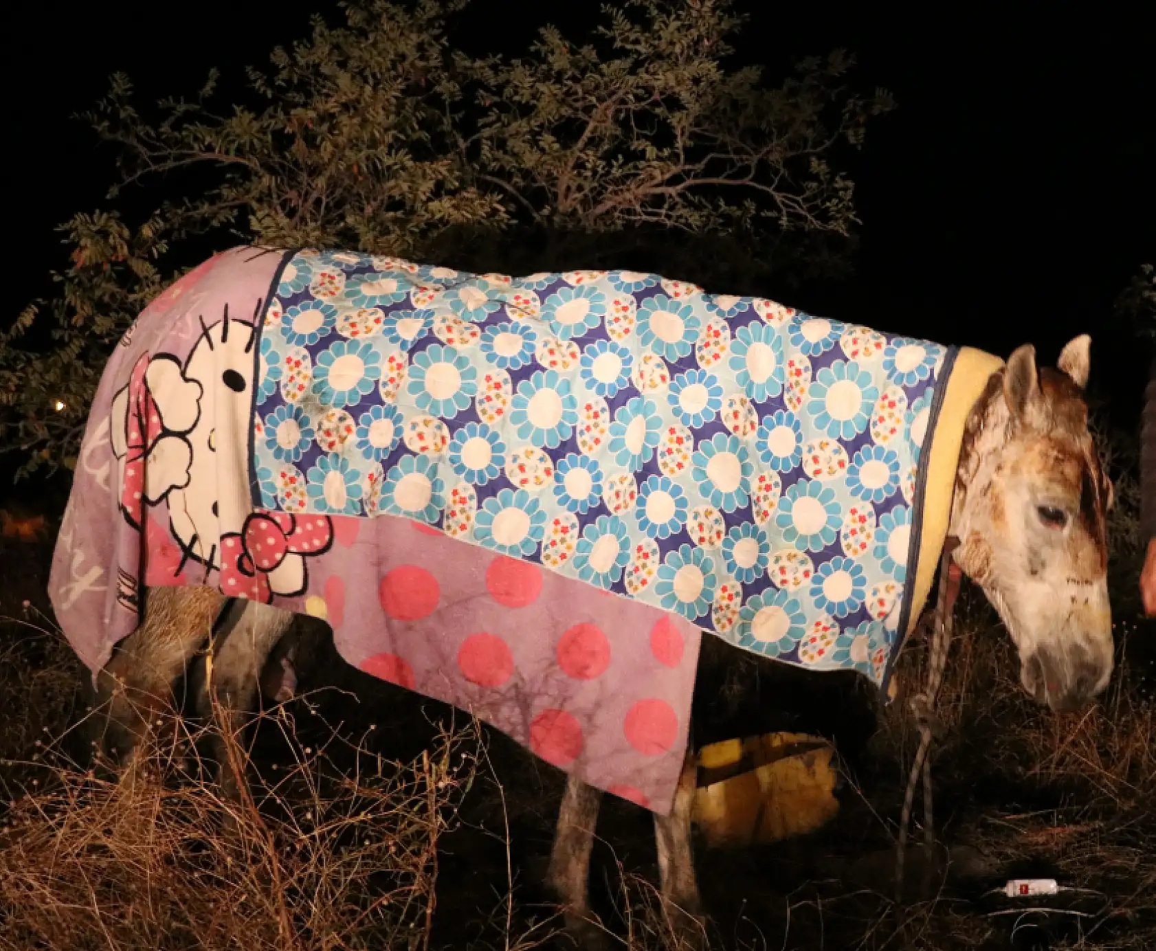 Kayseri'de mobilya fabrikasında yangın çıktı!