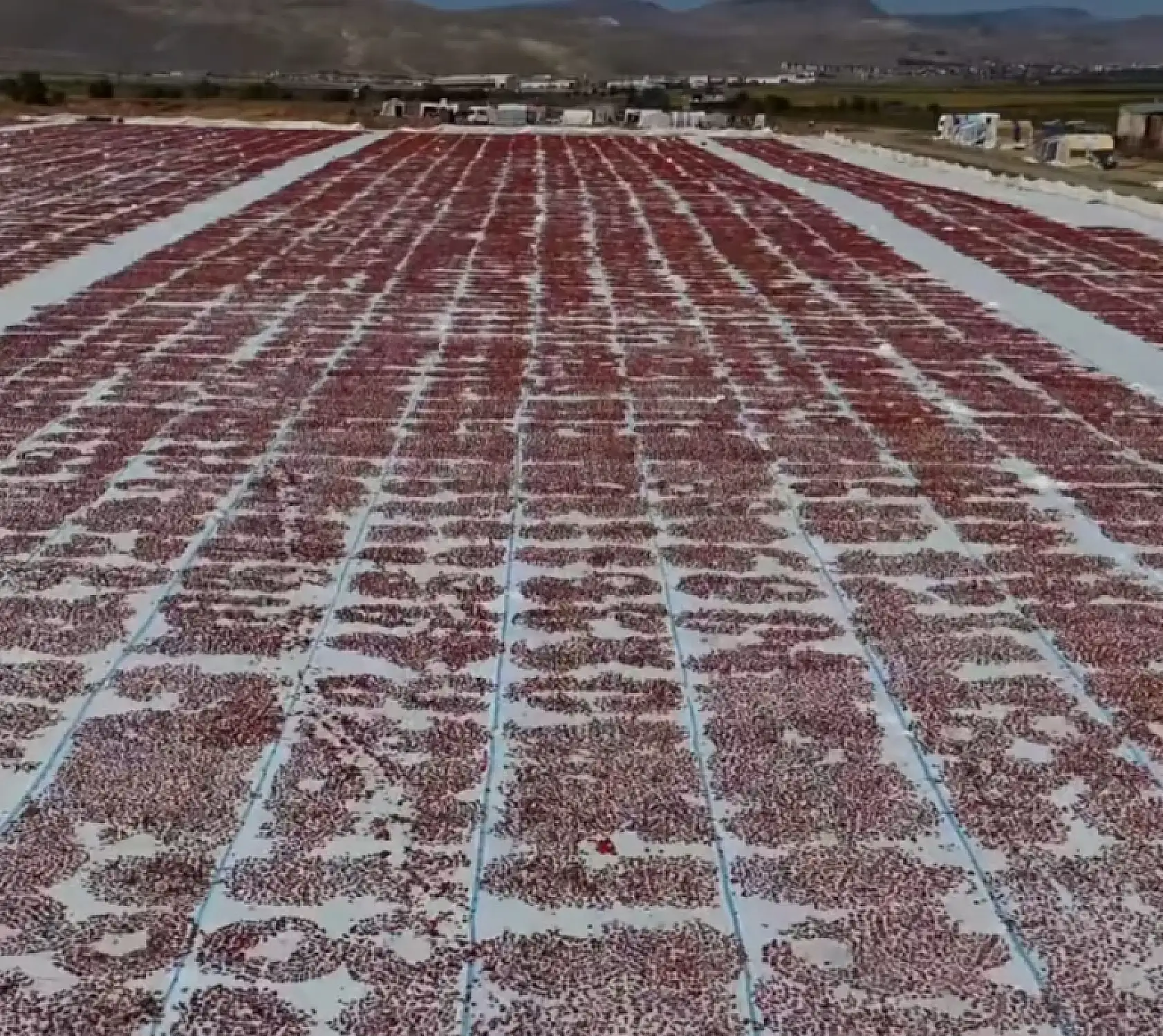 Erciyes'in eteklerindeki bu devasa görüntüyü gördünüz mü?