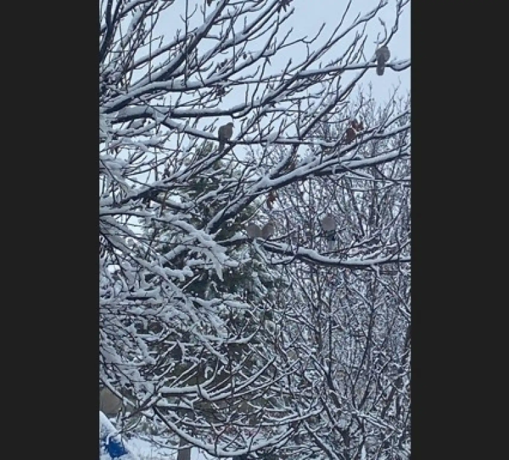 Kayseri'nin o ilçesinde kar erimiyor!