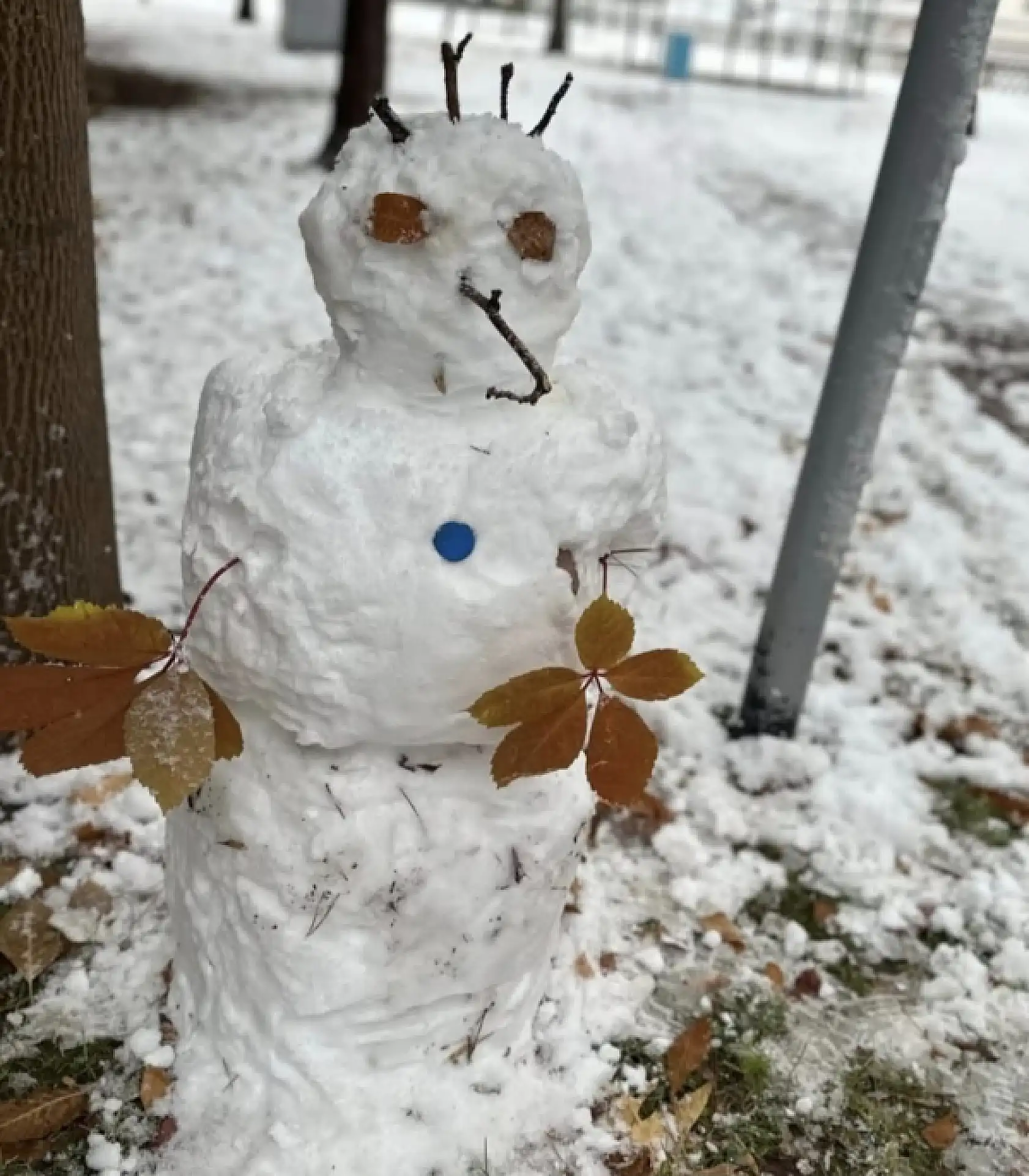 Kayserililerin objektifinden yaratıcılıklarını yansıtan kar manzaraları!
