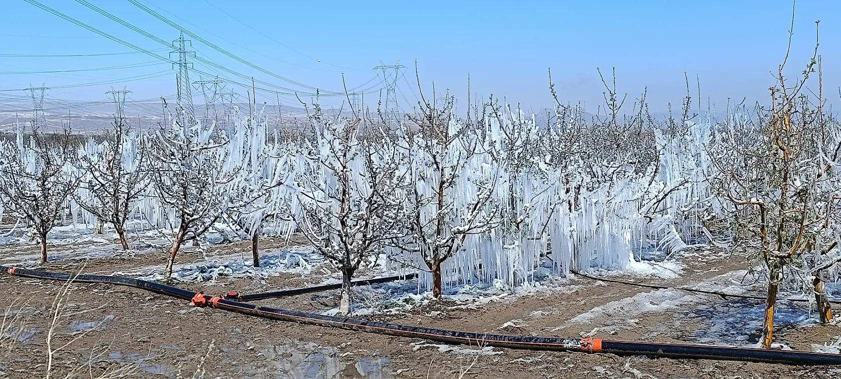 Kayseri'de fiyatlar tavan yaptı! O meyveleri bulmak neredeyse imkansız!