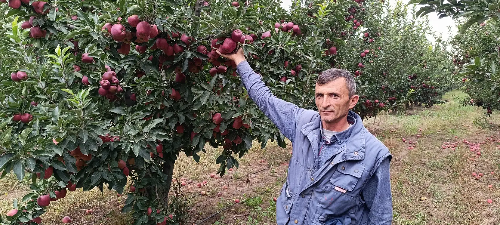 Kayseri'den dünya mutfağına - İhracatta büyük başarı!