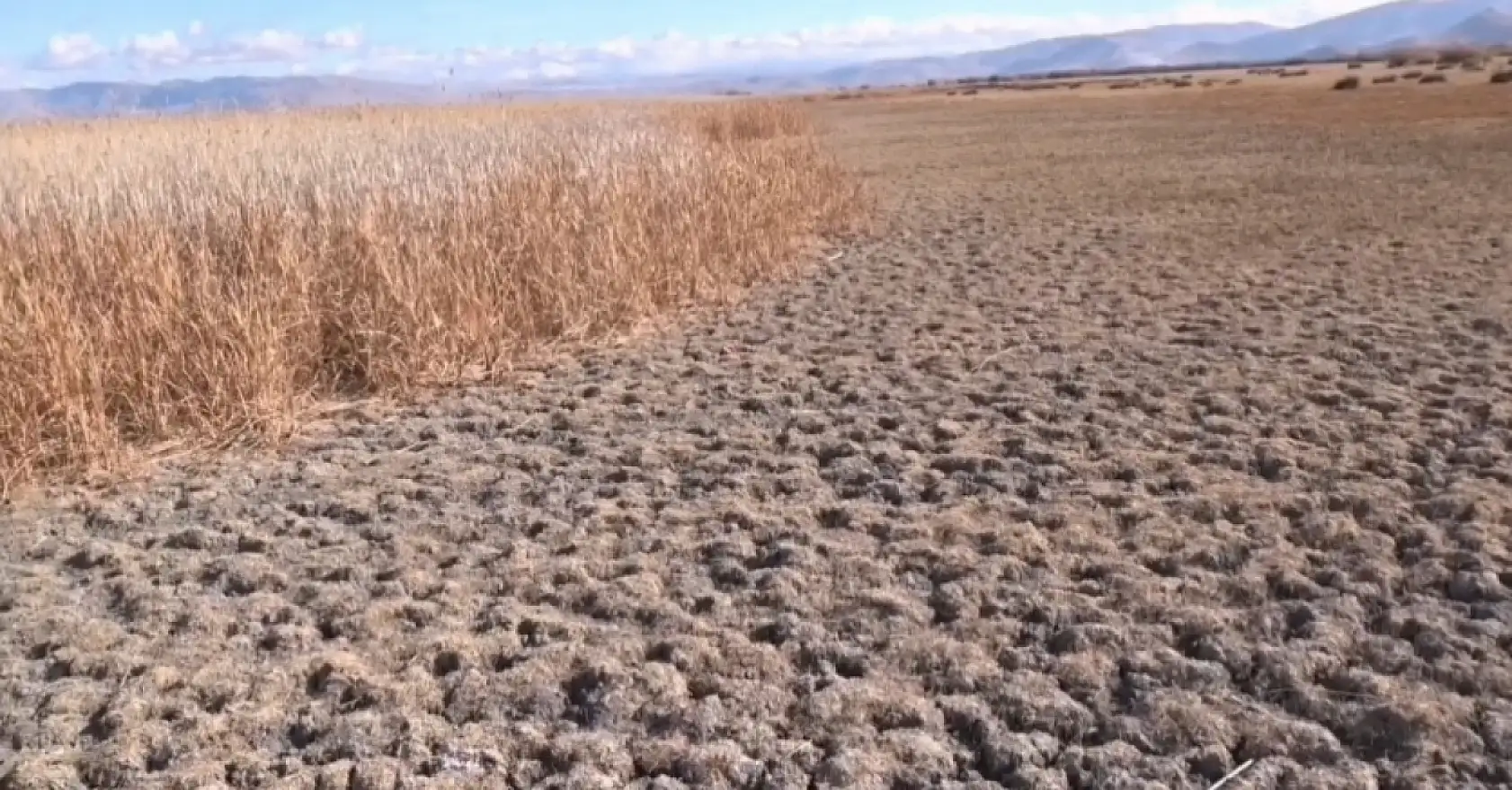 Kayseri'de kuraklık alarmı!