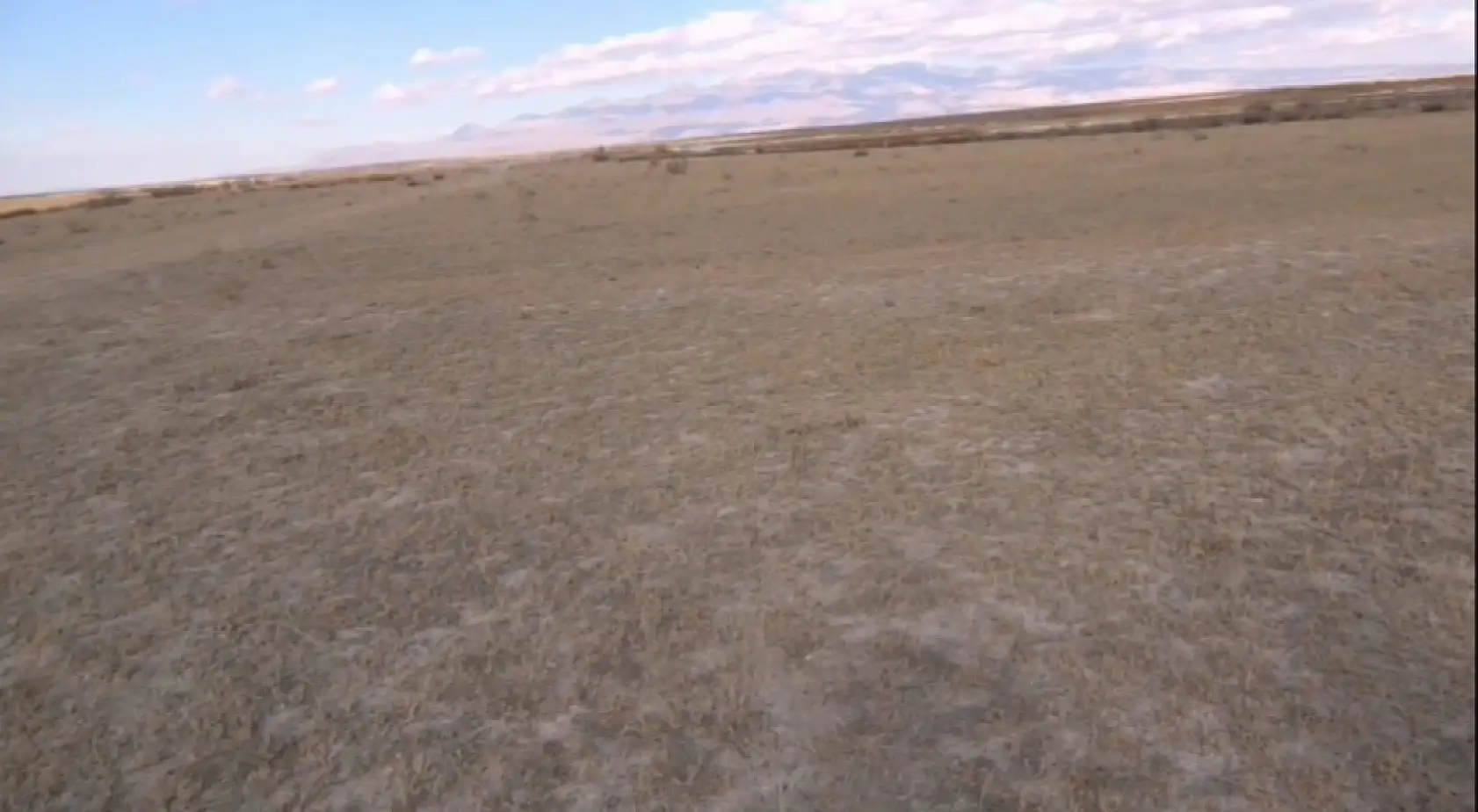 Kayseri'de kuraklık alarmı!