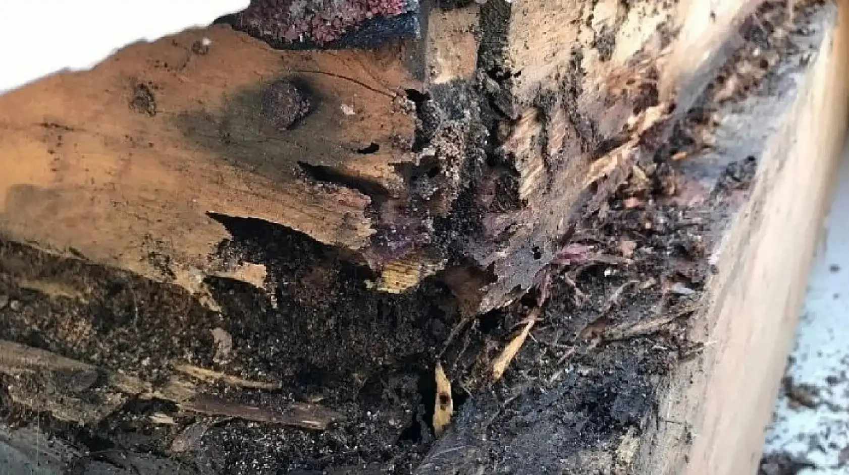 Kayseri'den kısa kısa gelişmeler (20 Nisan)- Açılış, ekonomi, ehliyet affı, vefat, yıldırım....