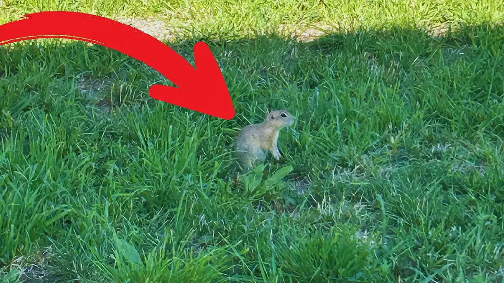 Kayseri kısa kısa: Yangın, Aşkın Genç, Meteoroloji, UTTS cihazı, Kayserispor...
