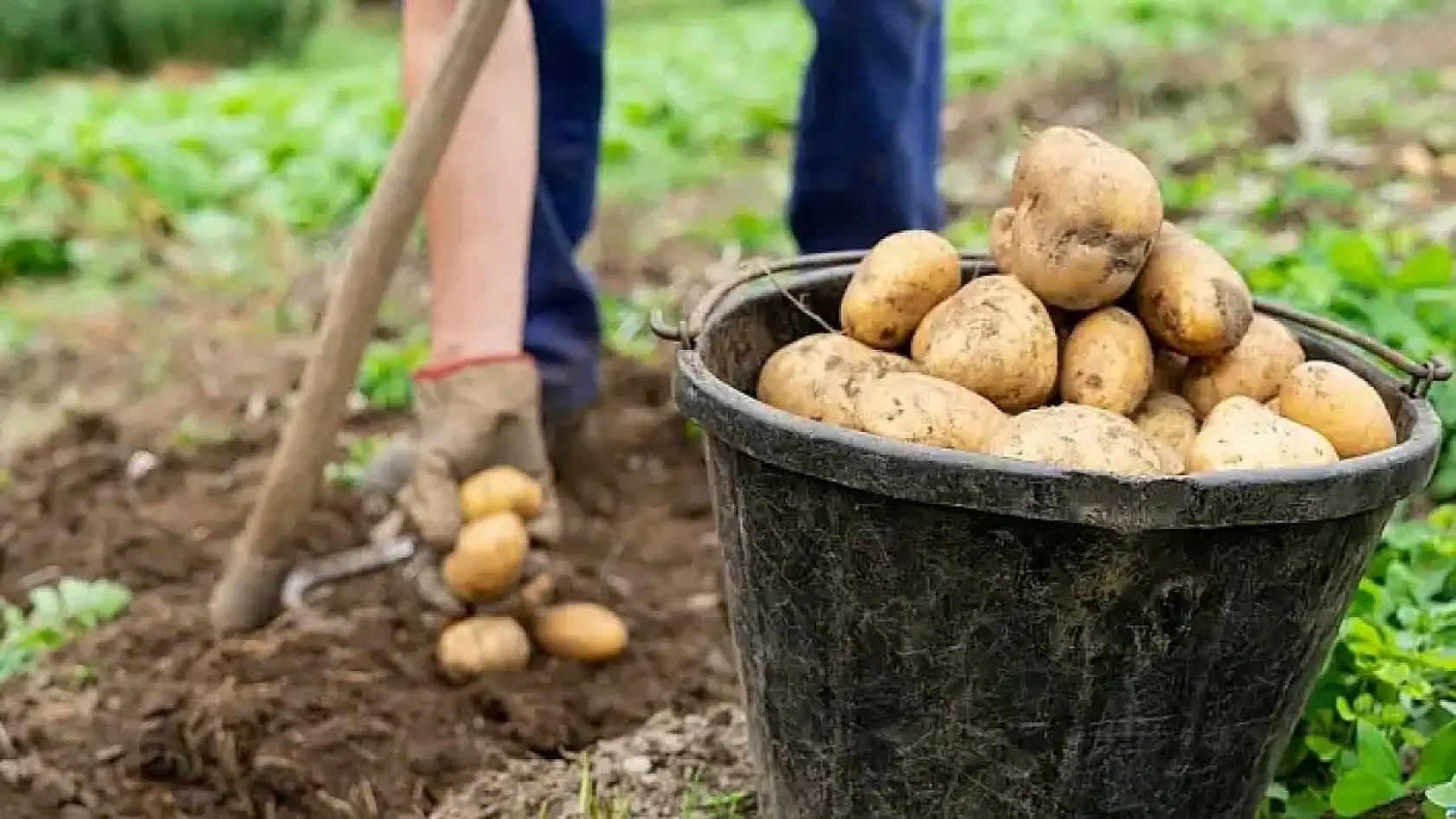 Kayseri'den kısa kısa: Sahte Alkol, Ölüm Kavşağı, İflas, Kara Liste, Kayseripor…