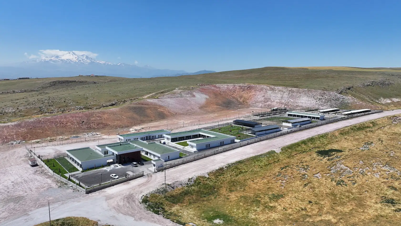Kayseri'de patili dostlara 5 yıldızlı konfor alanı!
