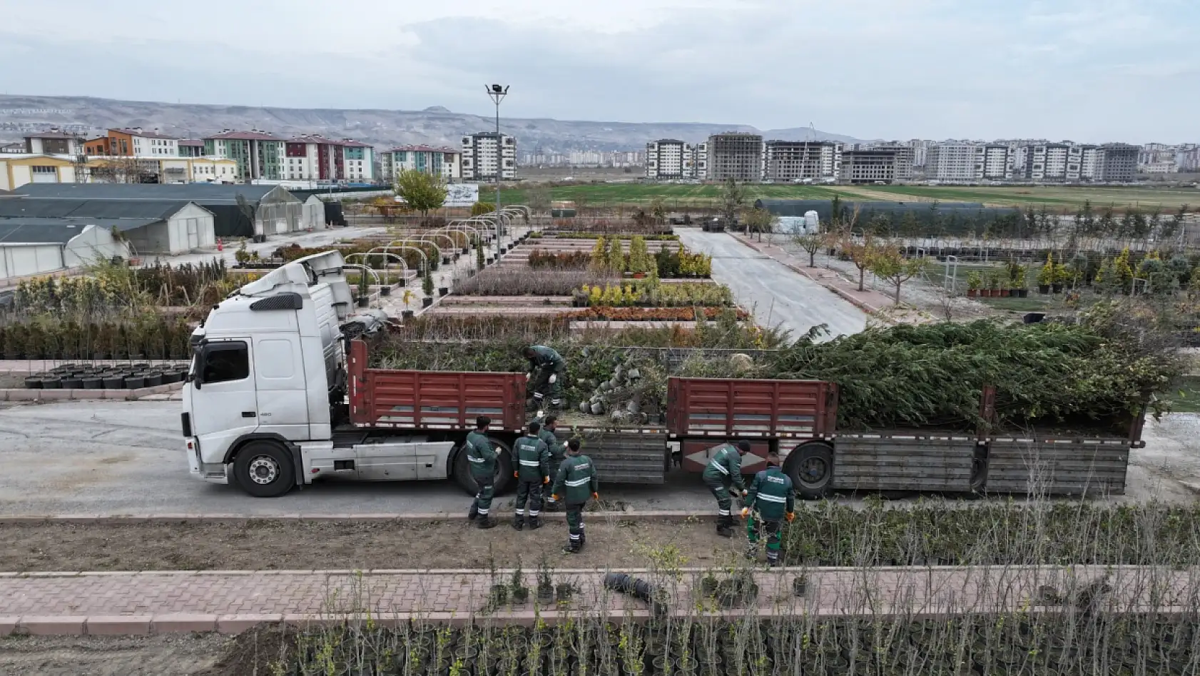 Kayseri'de sayı nüfusu ikiye katladı! Yeni rekor yolda