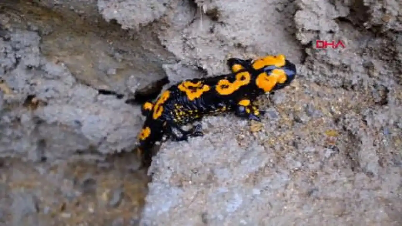 Kayseri kısa kısa: Narkotik operasyon, Erciyes Üniversitesi, Ulaşım, Kayserispor...