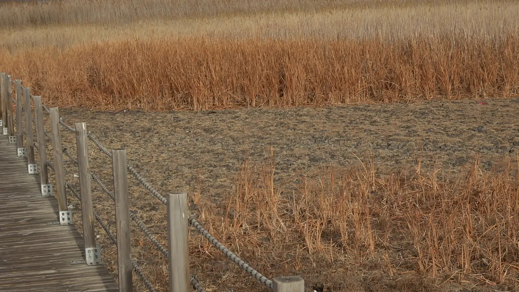 Kayseri'de kuraklık alarmı!