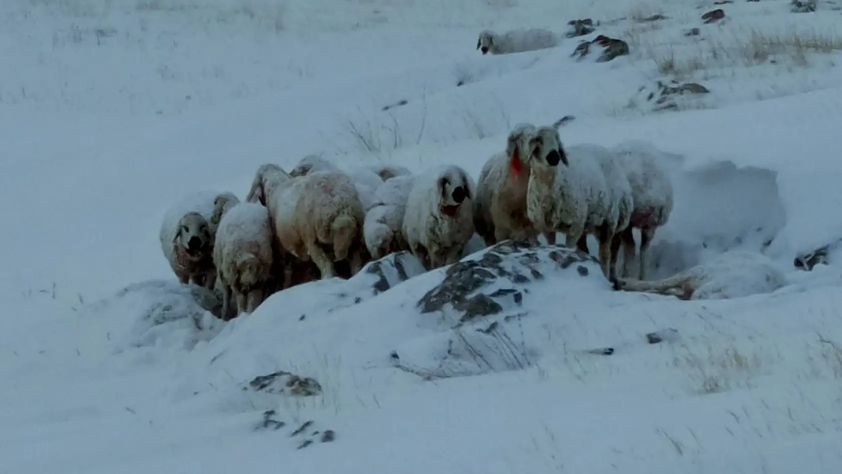 Kayseri'de karla mücadele sürüyor! - İşte kısa kısa haberler...