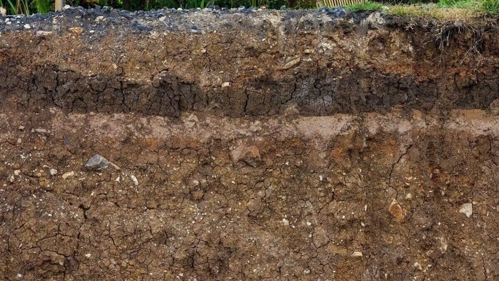 Deprem uzmanı açıkladı! 'İşte Türkiye'nin en güvenli şehirleri'