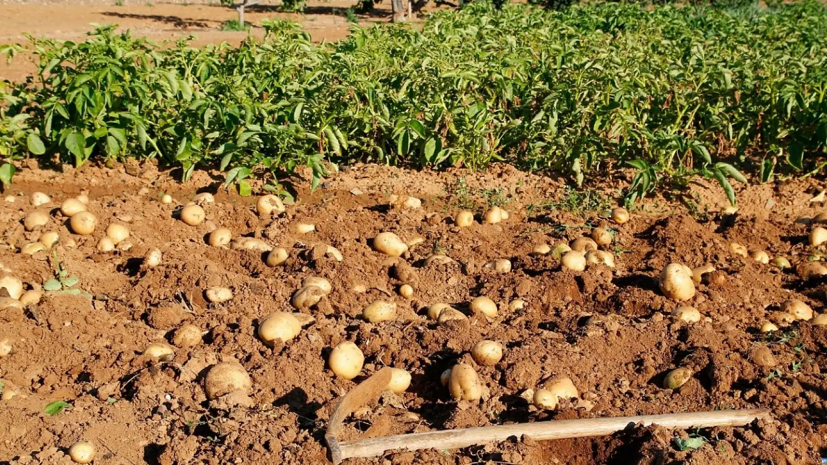 Kayserililer dikkat! Kara listeye girdik, şimdi ne olacak?