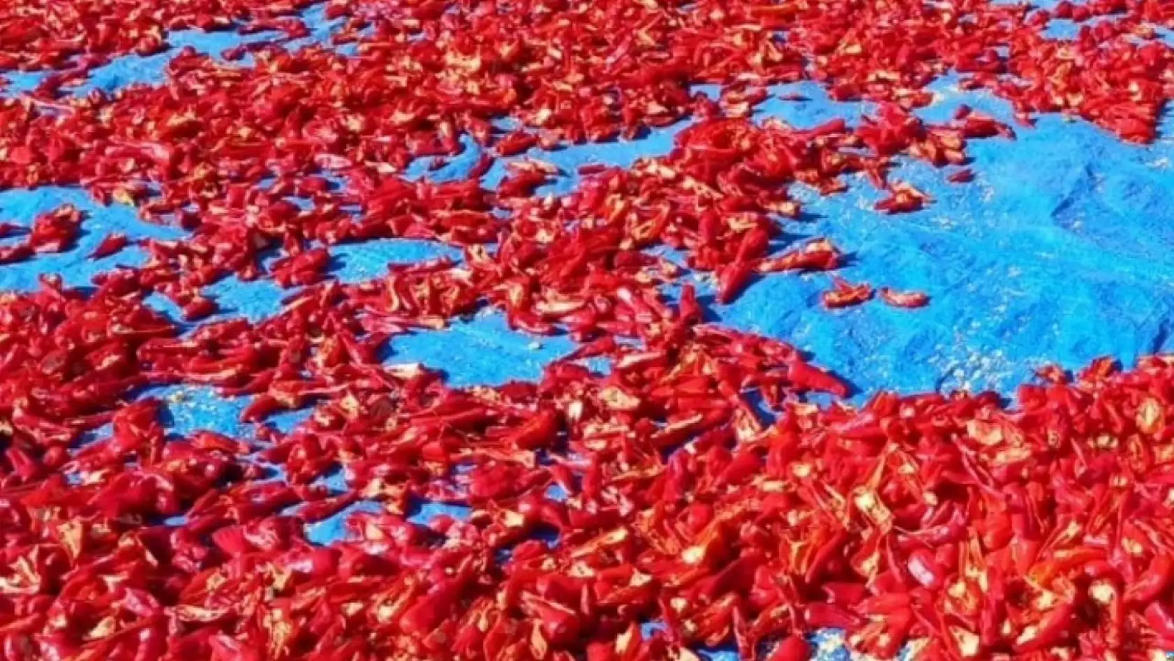 Pastırma ve sucuktan sonra Kayseri'den hediye götürülecekler arasına yenisi eklendi!