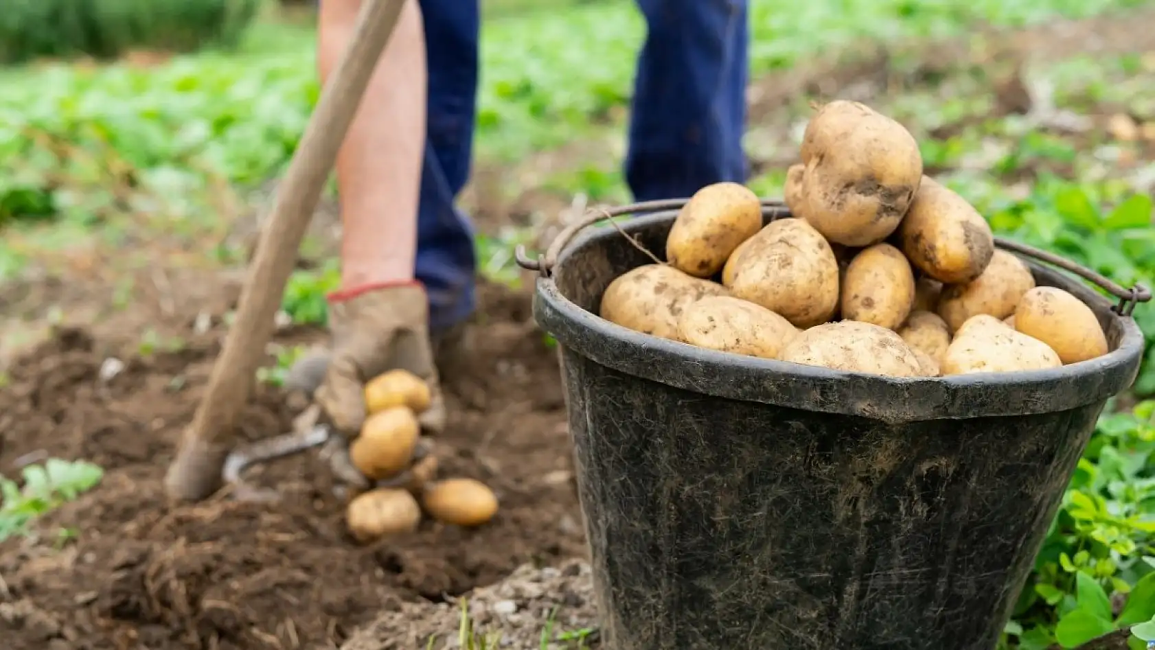 Kayserililer dikkat! Kara listeye girdik, şimdi ne olacak?