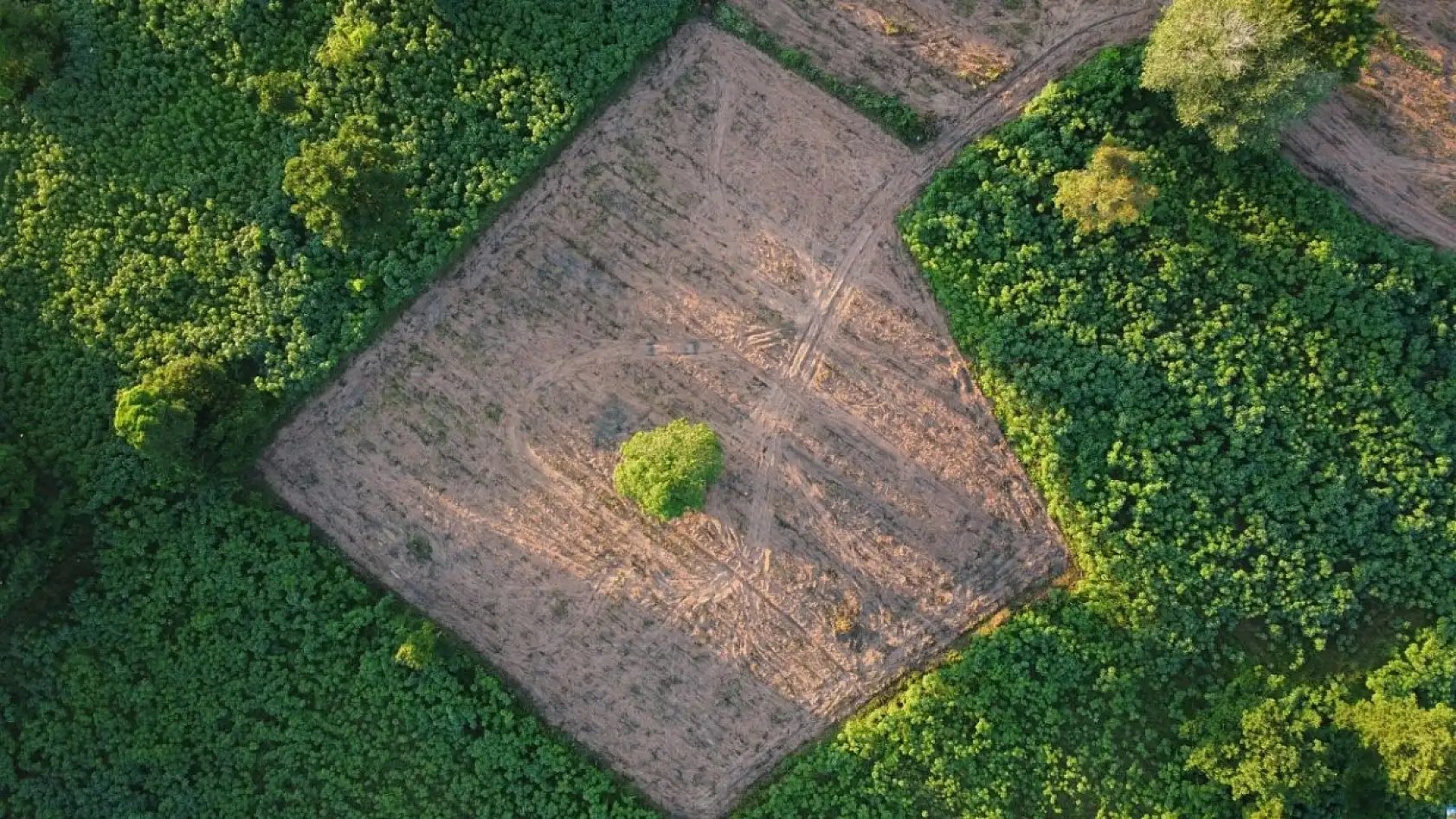 TOKİ'den Kayserililere büyük fırsat: İndirimli satışlar başlıyor!