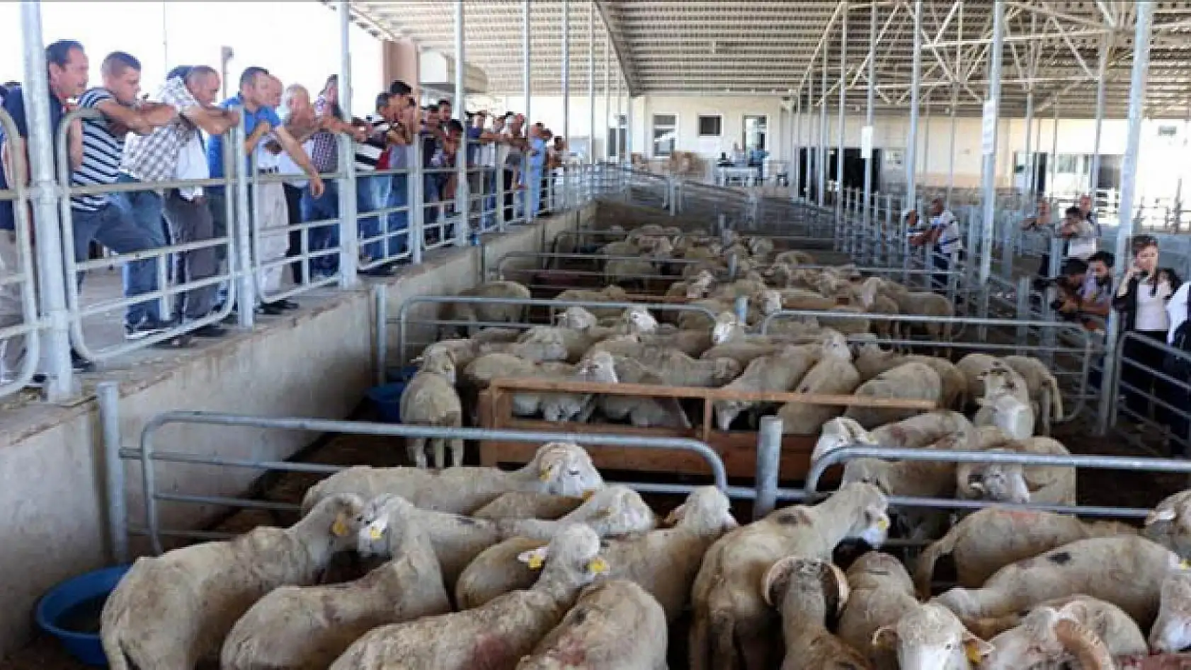 Komşu illerden Kayseri'ye talep yağıyor: Kriz Kayseri için fırsata dönüştü!
