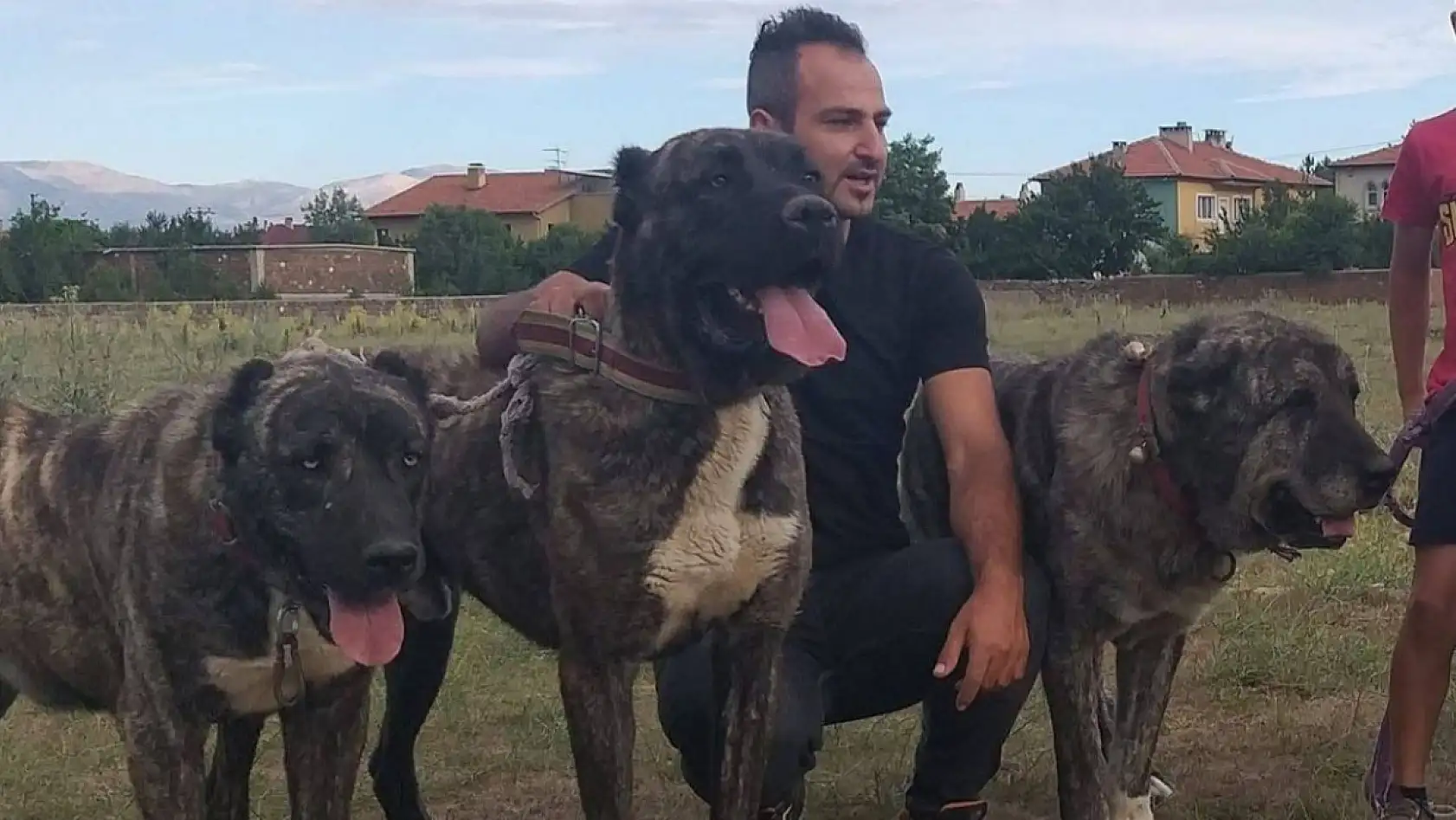 Kayseri Sivas'a rakip çıktı: Kangalların tahtı sallanıyor!