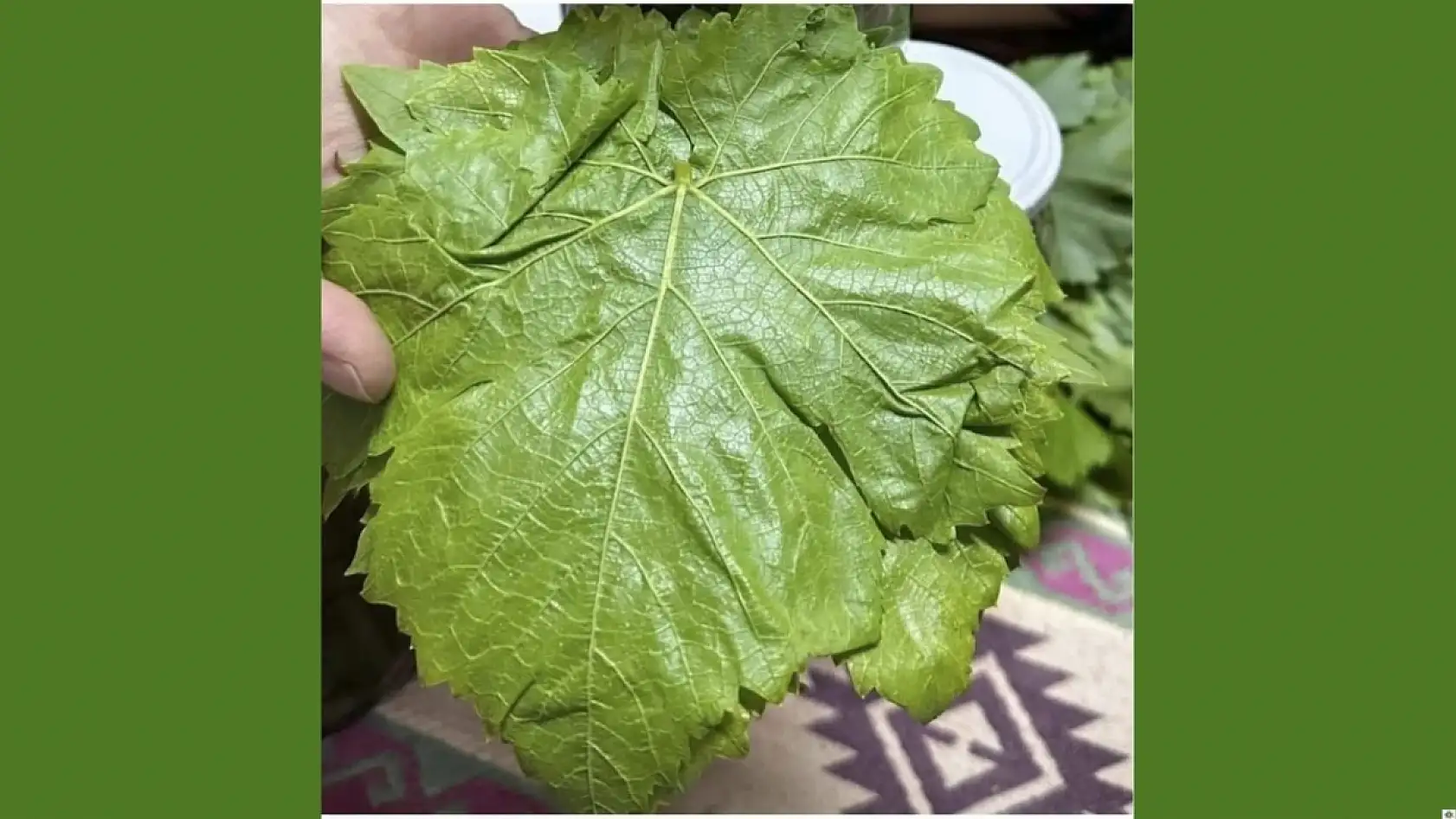 Kayserililerin gözdesine kırcı darbesi: Fiyatlar tam 3 kat arttı!