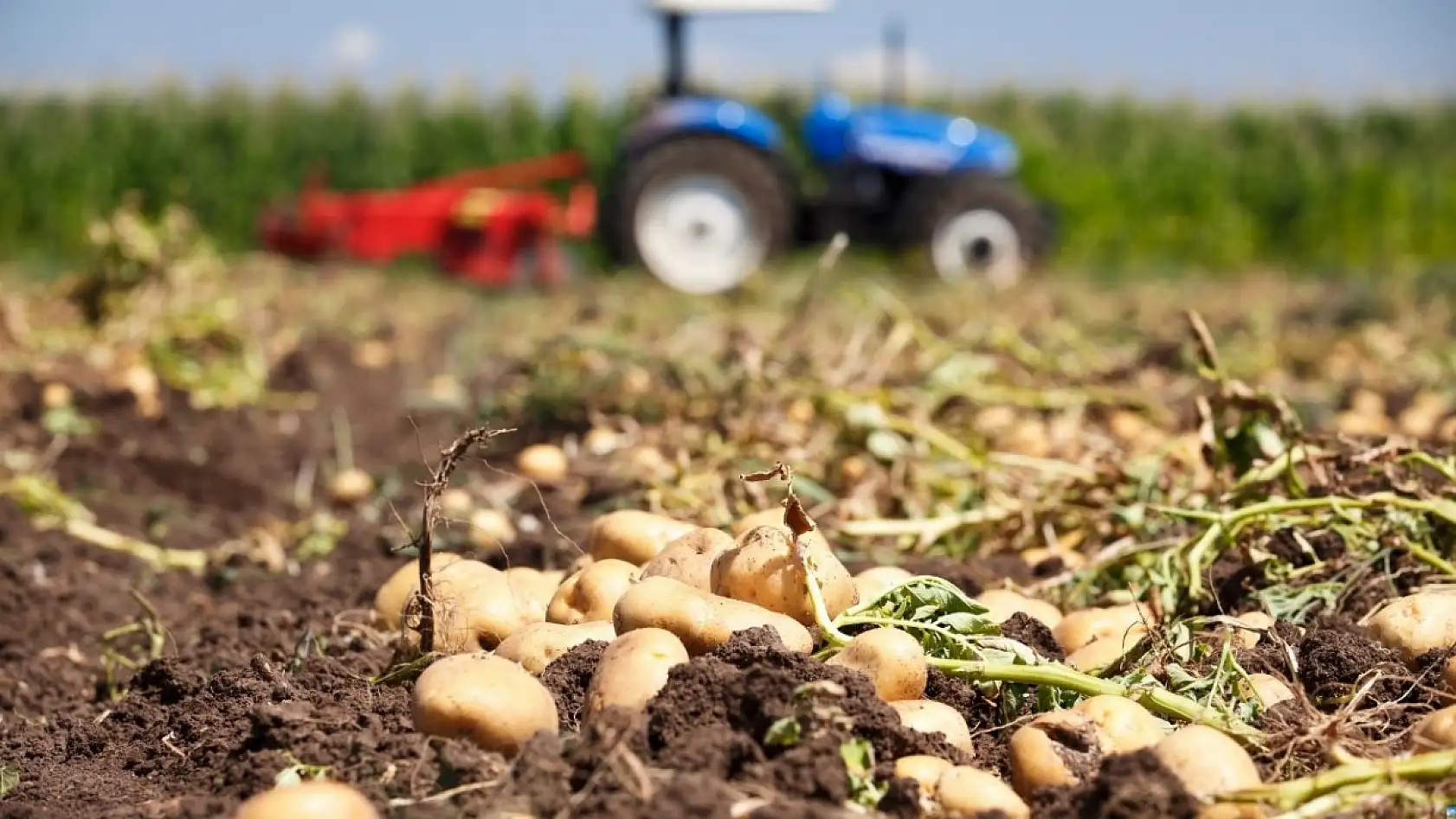 Kayserililer dikkat! Kara listeye girdik, şimdi ne olacak?