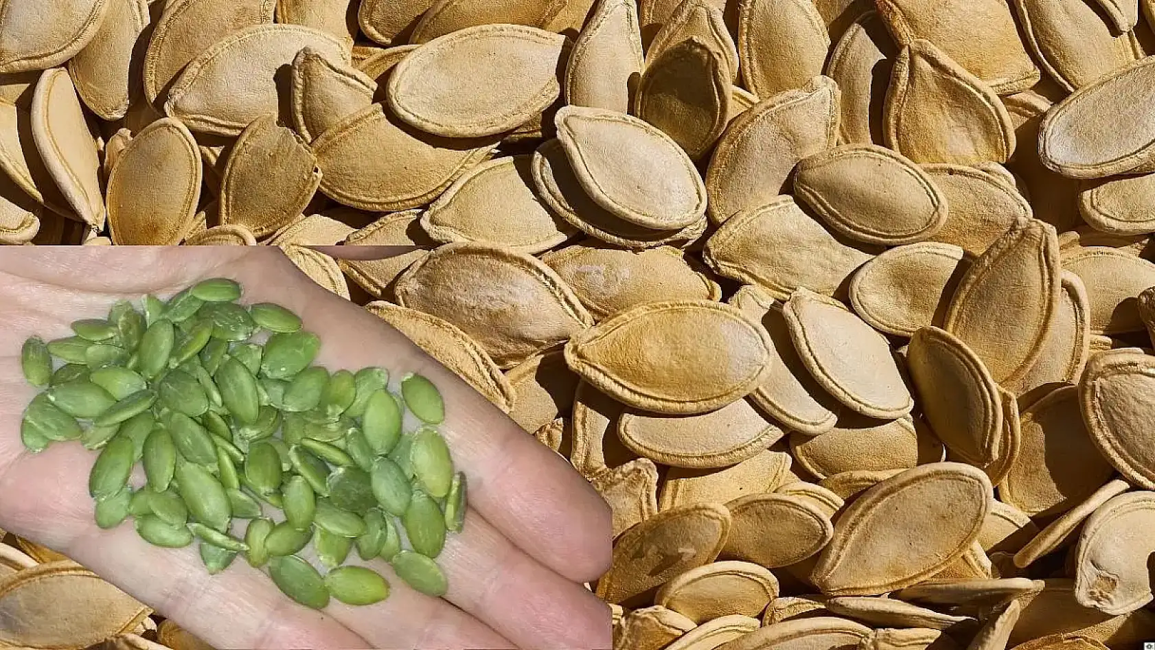 Kayseri kısa kısa - Trafik kazası, çiçekçi mesaisi, kabak çekirdeği, şehit annesi, Kayserispor...