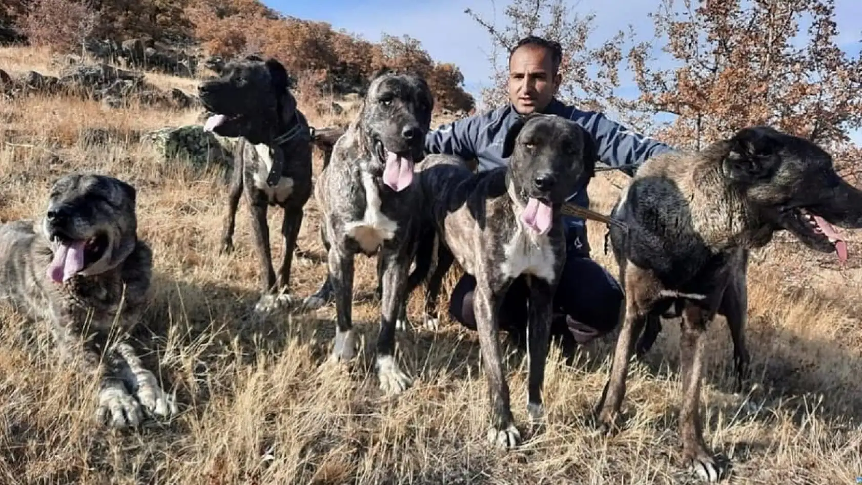 Kayseri Sivas'a rakip çıktı: Kangalların tahtı sallanıyor!