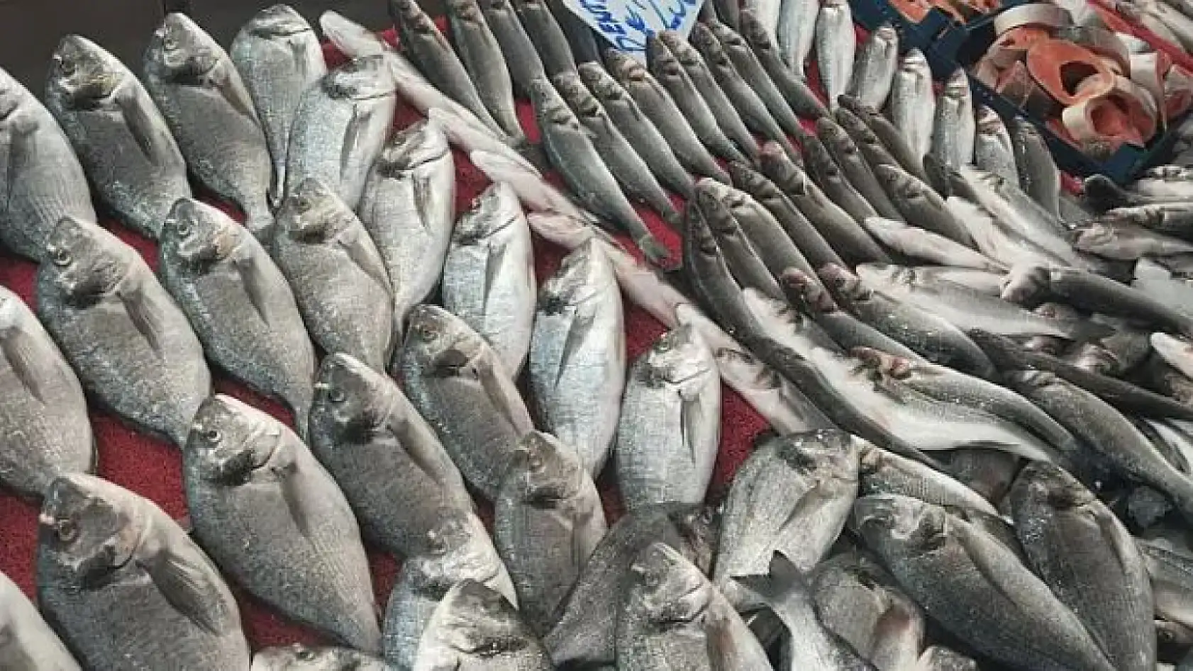 Kayseri'de balık fiyatlarında sürpriz düşüş: İşte güncel rakamlar!