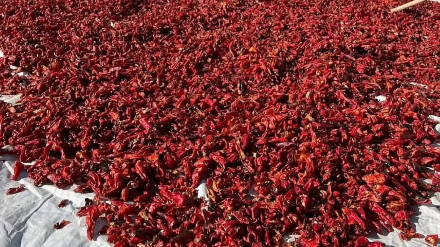 Pastırma ve sucuktan sonra Kayseri'den hediye götürülecekler arasına yenisi eklendi!