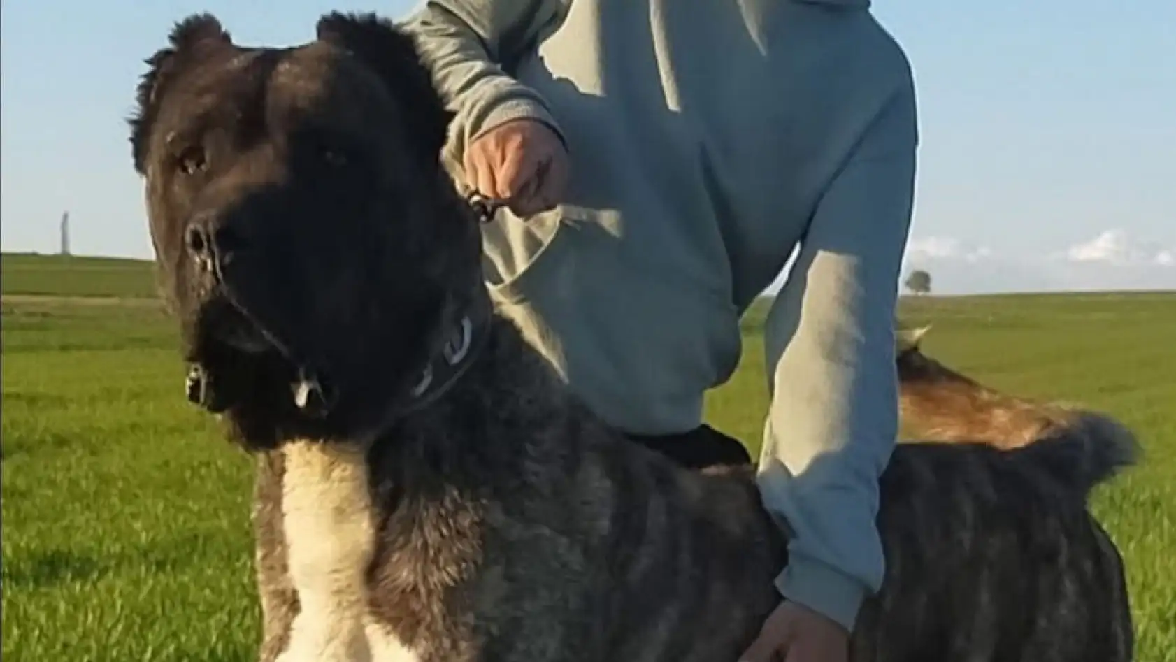 Kayseri Sivas'a rakip çıktı: Kangalların tahtı sallanıyor!