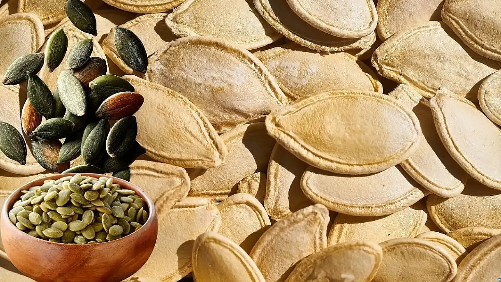 Kayseri'den kısa kısa: Trafik kazası, Öğretmenler Günü, Arı Projesi, Kayserispor…