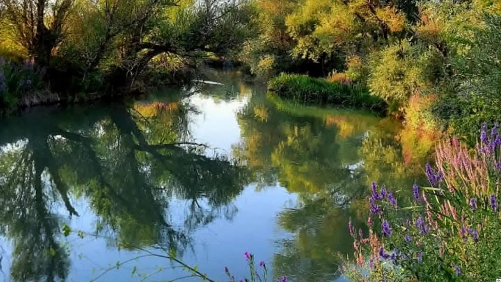 Gören hayran kalıyor, giden şikayetle dönüyor: Cennet köşesi harcanıyor mu?