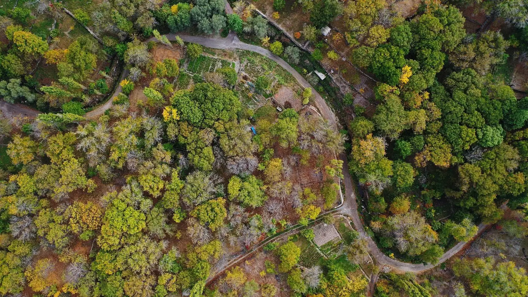 Kayseri'de festivale sayılı günler kaldı! İşte beklenen o tarih...