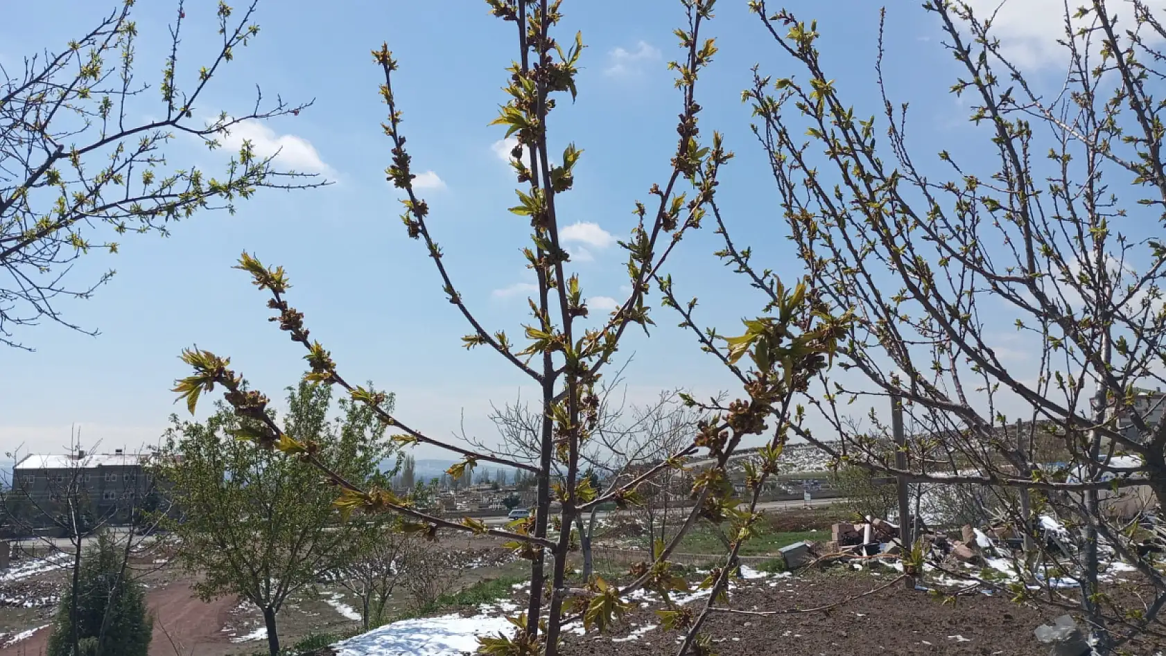 Soğuk bahar gecesi Kayseri'yi vurdu: Üreticiler endişeli!