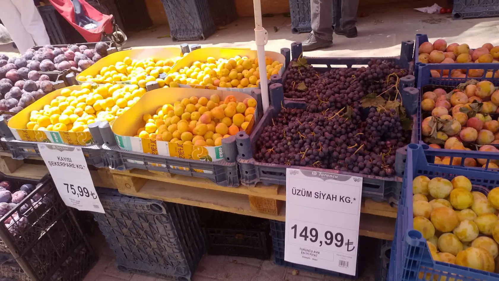 Don etkisini gösterdi – Fiyatlar el yakıyor, vatandaş sadece bakıyor! İşte güncel fiyatlar