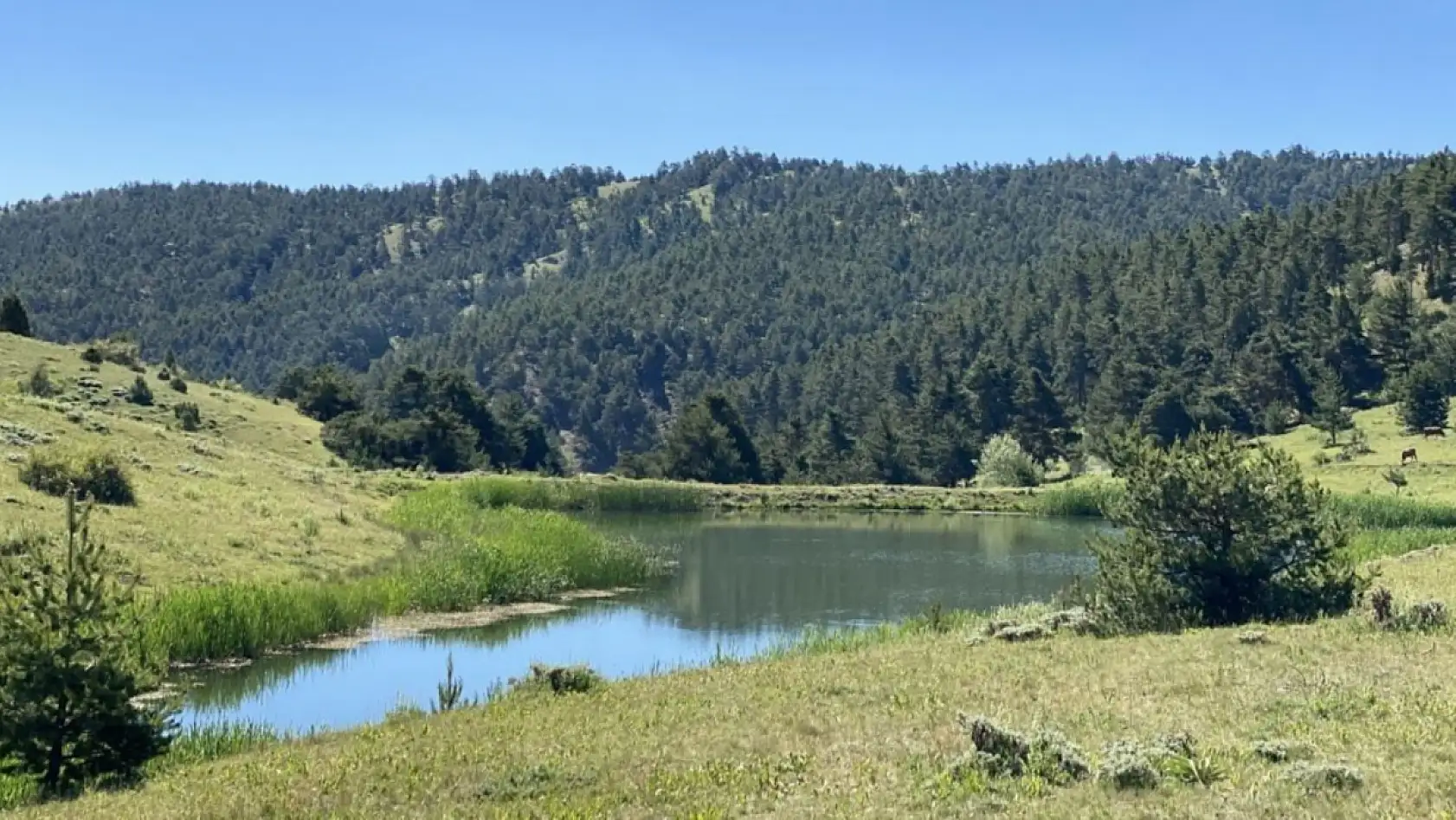 Kayseri'den Çat diye giderseniz bilmeniz gerekenler!