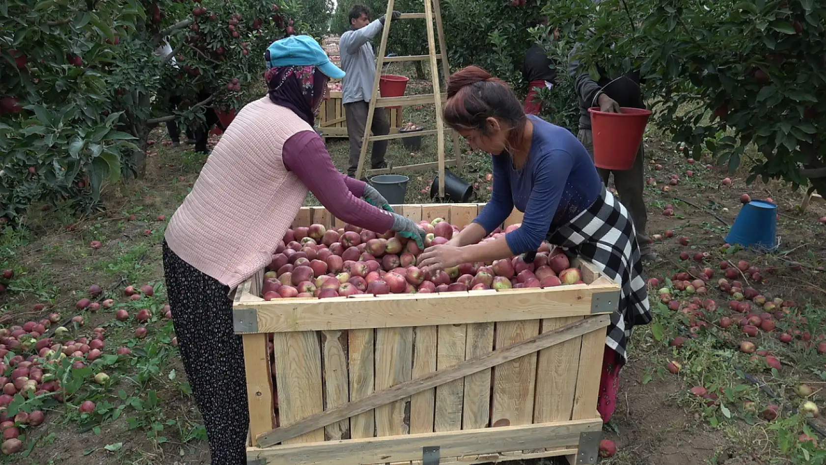 Kayseri'den dünya mutfağına - İhracatta büyük başarı!