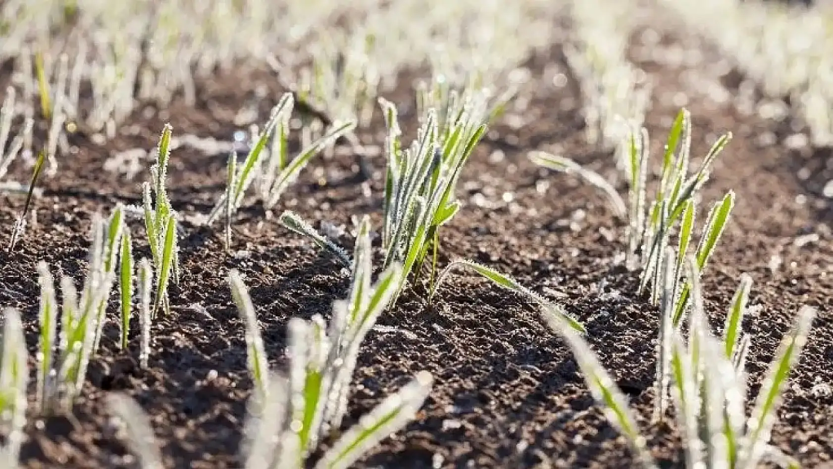 Kayseri'de o sektör de etkilendi: Satışlar düştü, iadeler başladı!
