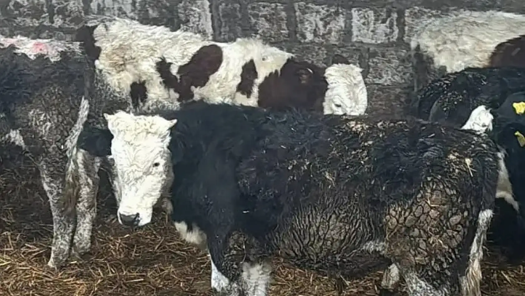 Kayseri'de sakin cumartesi - Hırsızlık, siyaset rüzgarı, Anadolu lisesi, 3 aylar, Kayserispor.... İşte şehirden kısa kısa haberler!