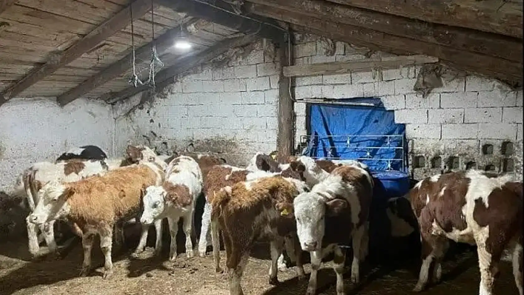 Kayseri'de hareketli cuma - ERÜ, Erciyes Dağı, Siyaset, Dolandırıcılık, Meteoroloji, Kayserispor...