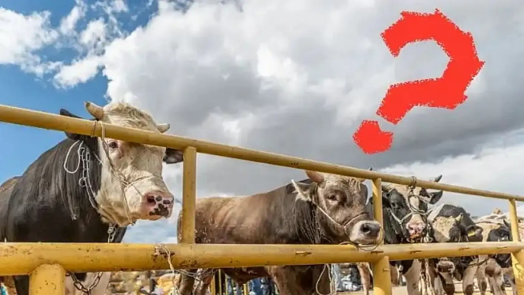 Haftanın son günü kentte neler yaşandı? - Kayseri'den kısa kısa haberler...