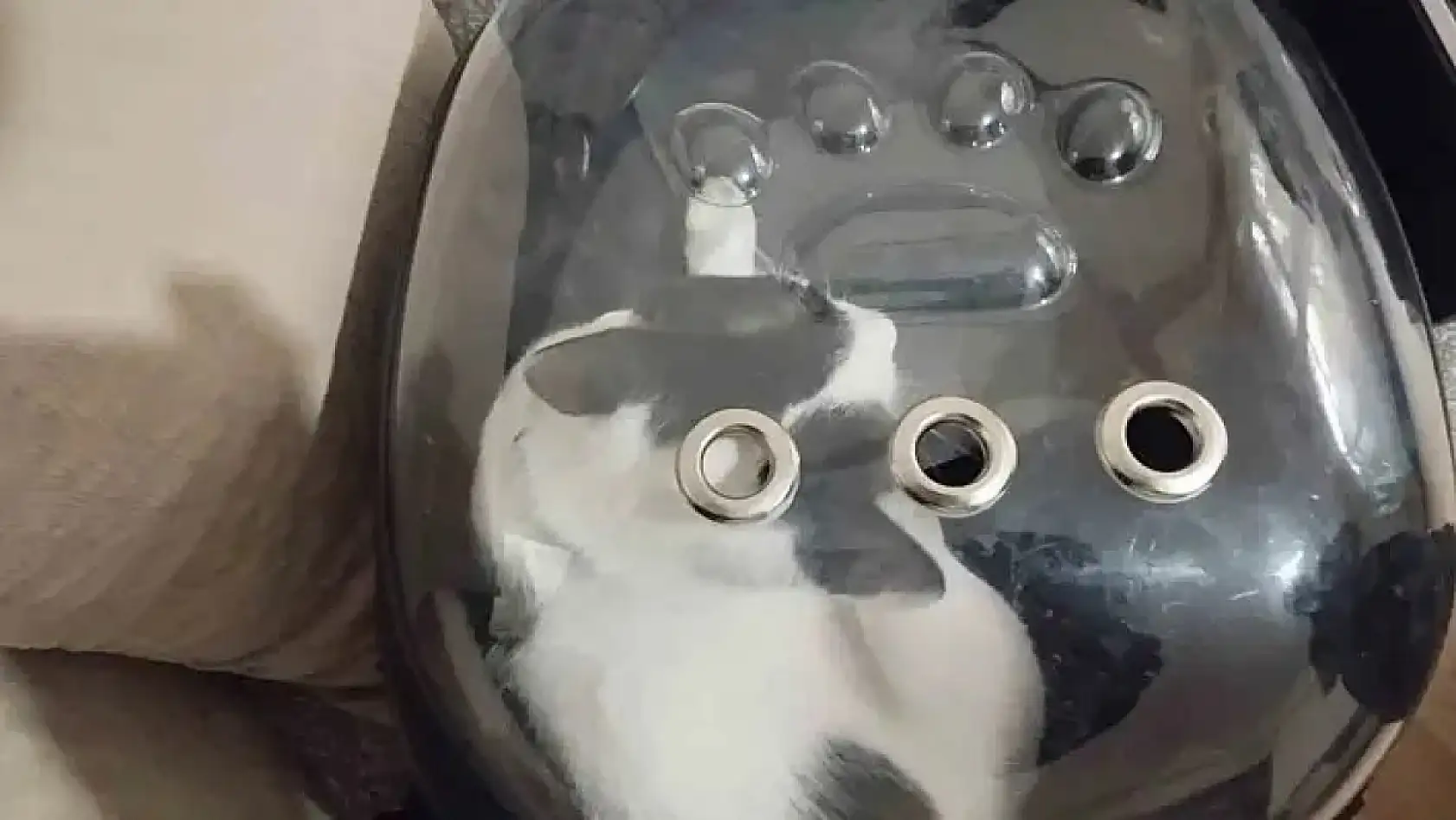 Kayseri'den kısa kısa: Emniyet, Alpaslan Baki Ertekin, Develi tepki, Üst geçit, Kayserispor…