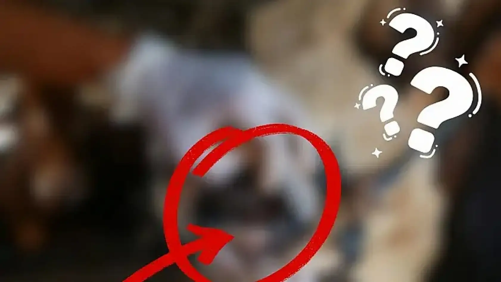 Kayseri'den kısa kısa: Asayiş, Ümit Canpolat, İhracat karnesi, Şap hastalığı, Ramazan pidesi, Kayserispor...