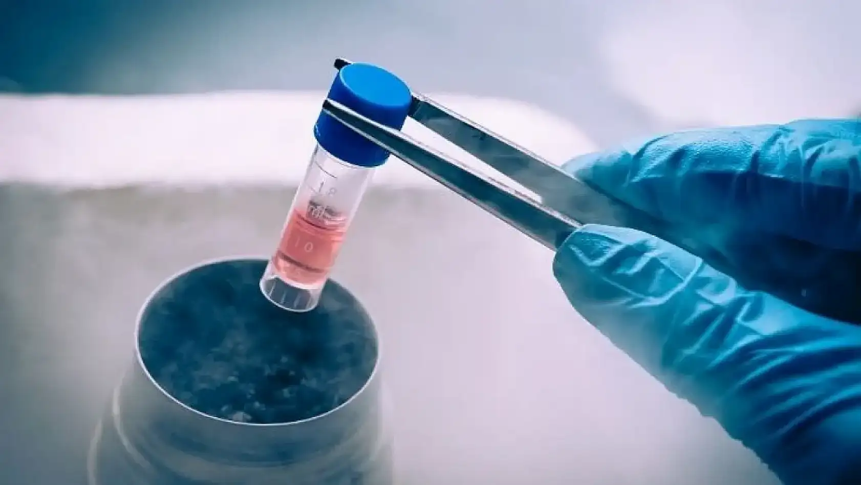 Kayseri'de sakin pazar: Bugün hangi gelişmeler öne çıktı? Kısa kısa haberler...