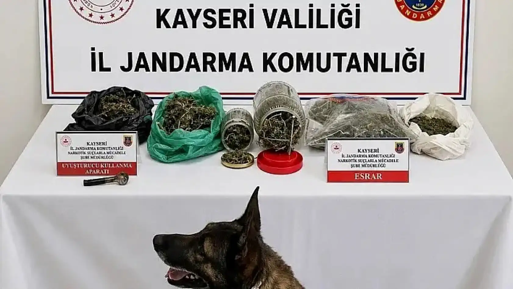 Kayseri'den Kısa Kısa: Eve Baskın, Zorunlu İniş, Ali Üstünel, Havuz Projesi, Kayserispor…